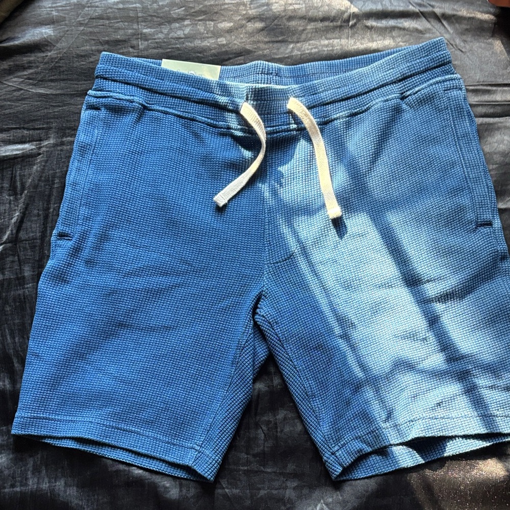 Blue Men's Casual Shorts